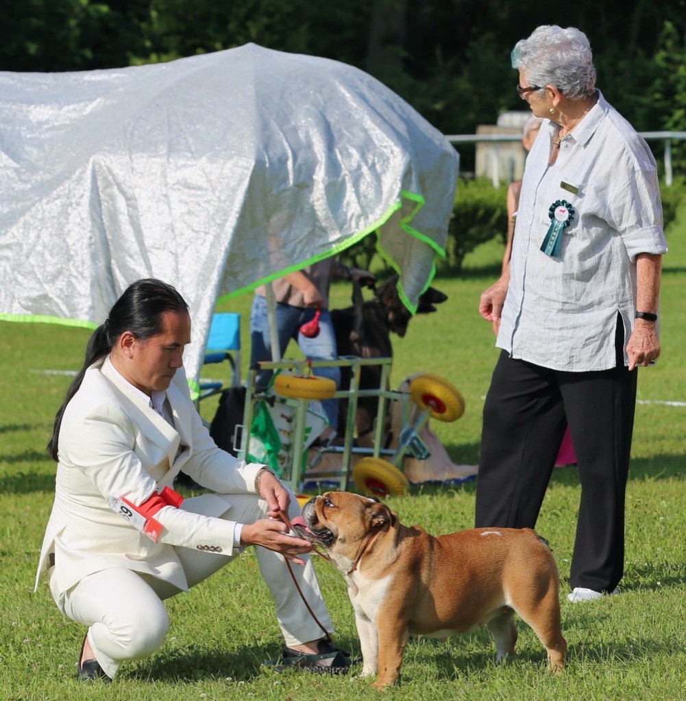 des Rob and son bulls - 19/06/22 - IDS Aarau 2 - Federikke CAC RCACIB