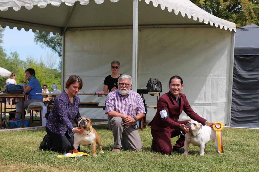 des Rob and son bulls - 22/05/22 Speciale de race La Madine - Dalmak CACS BOS - Federikke RCAC