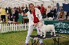  - Birmingham National Dogshow UK - Thu Anh first Yearling Class