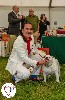  - Birmingham and Midlands Championship show UK ThuAnh 1st Yearling Class