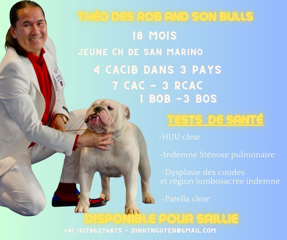 CH. Théo des Rob and son bulls