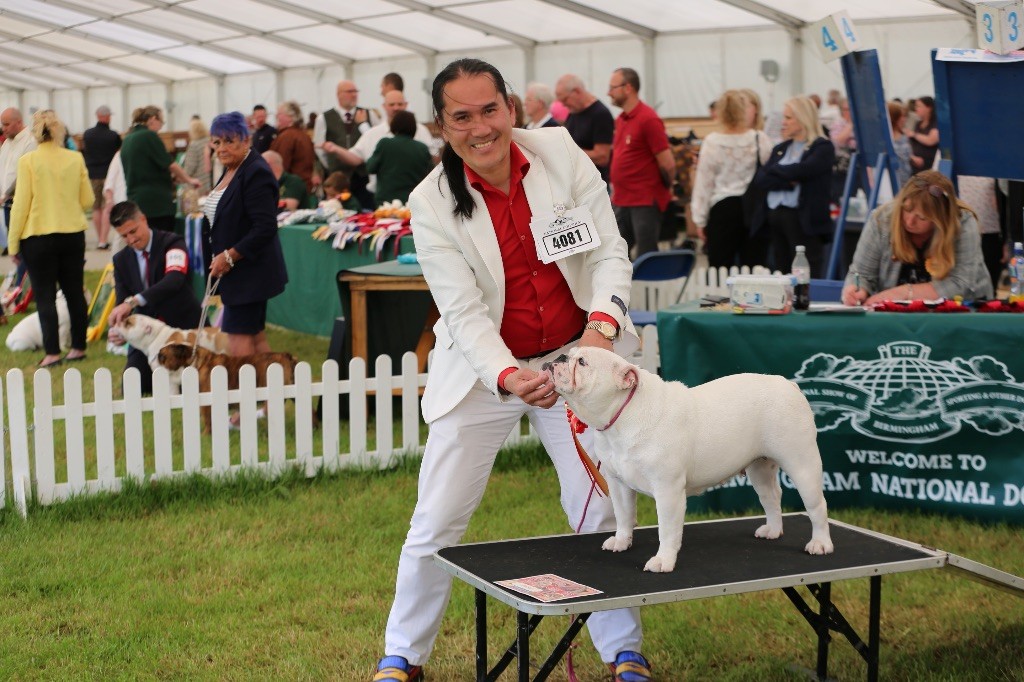 des Rob and son bulls - Birmingham National Dogshow UK - Thu Anh first Yearling Class