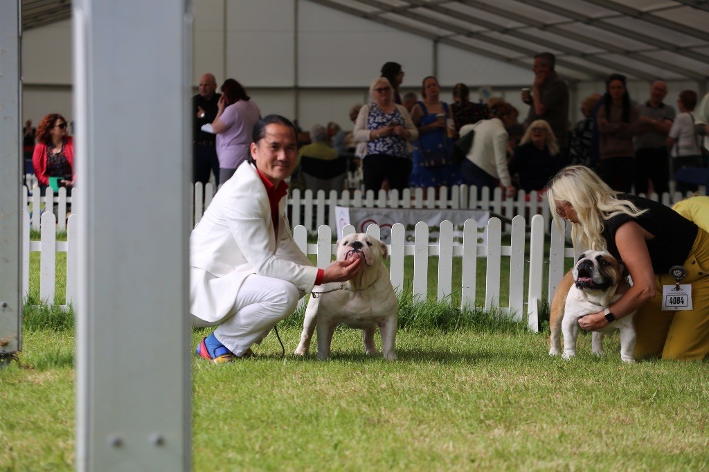 Birmingham National Dogshow UK - Théo 4eme VHC Yearling Class