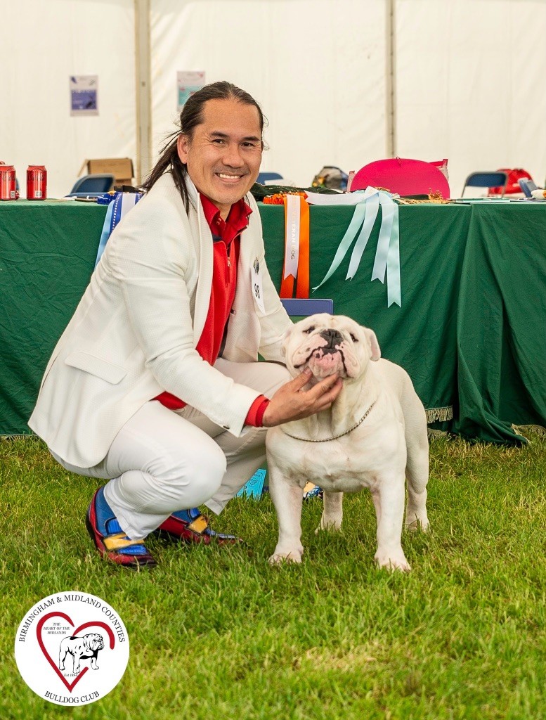 des Rob and son bulls - Birmingham and Midlands Championship show UK Théo 2nd Yearling Class